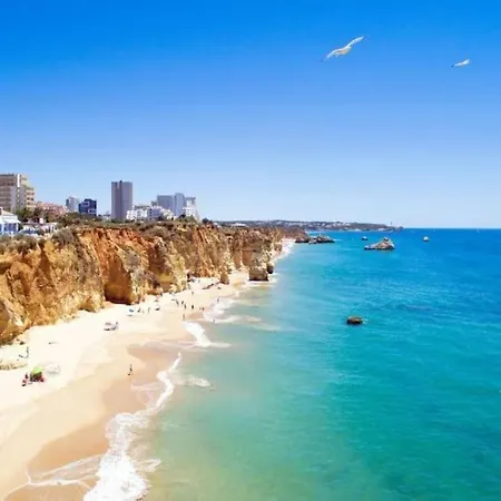 My Scape Dream Портиман