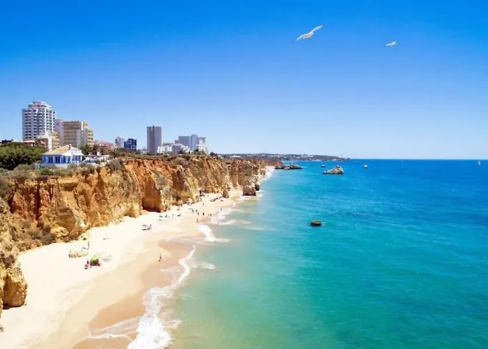 My Scape Dream Портиман